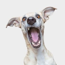 Exhibition Programme For Kk Outlet cover image