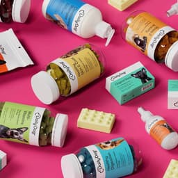 Celebrating Dog Personalities Through Brand Identity cover image