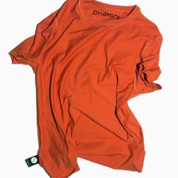 Challenging Ordinary cover image