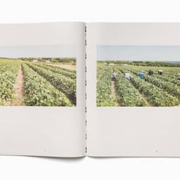 Publication Design For Shelf Life cover image