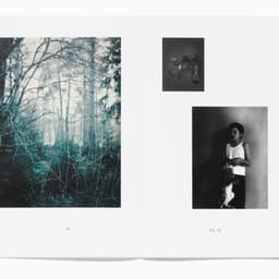 Publication Design For Julia Hetta cover image