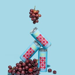 Branding And Packaging For A Piquette Wine Startup  cover image