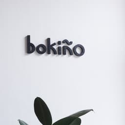 Bokiño Branding And Strategy cover image