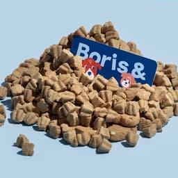 Menu And Collateral Design For A Pizza Restaurant cover image