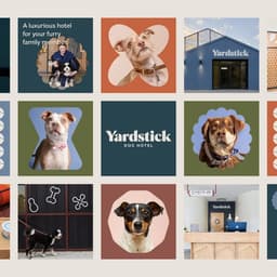 Brand Identity And Graphic Design For A Boutique Dog Hotel cover image