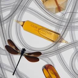 Scanned Visual Identity Development cover image