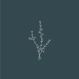 Naming, Identity And Packaging For A Natural Body Care Company cover image