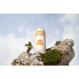 Rebrand With Visual Identity, Type Design, And Packaging For A Microbrewery cover image