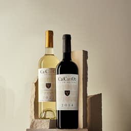 Packaging And Identity For A Still And Sparkling Wine Producer cover image