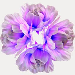 House Of Naturalia cover image