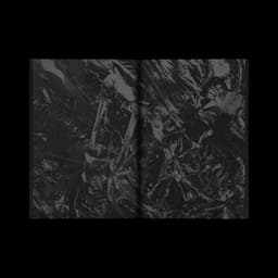 Type Specimen For Forth + Back’s Display Serif cover image