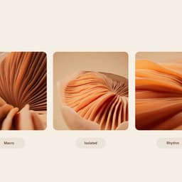 Connect With Your Inner Rhythm cover image