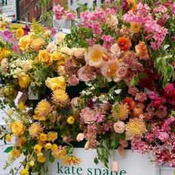 Brand Strategy, Website, And Integrated Campaign For A Rent-to-own Home-buying Startup cover image