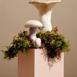 Brand Identity Development For A Notable Culinary Destination cover image