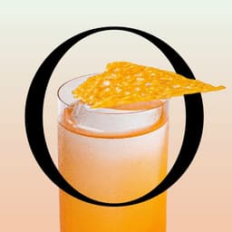 Building A Brand World For Savio Volpe cover image