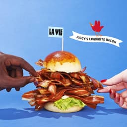 A Brand Universe Unlike Anything Else cover image