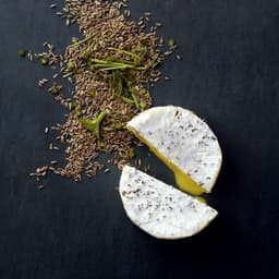 Developing The Brand Universe For Unika cover image