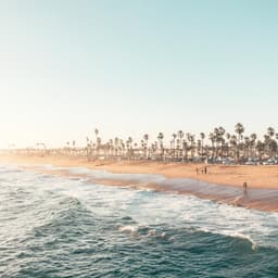 Goya - Laura Clink design work cover image