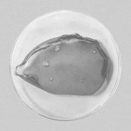 Developed A Refill Packaging Solution For A Sustainable Goods Company cover image