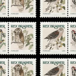 Identity And Typeface Design For The Rex Brasher Association  cover image