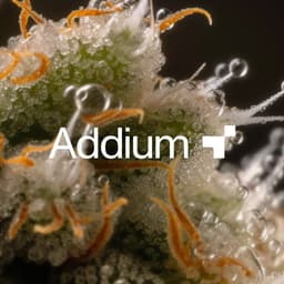 Rebranding And Visual Identity For An Agri-tech Leader  cover image