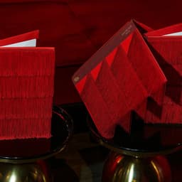 Brand Identity And Asset Development For Belbo Dos Besos Cabaret Restaurant  cover image