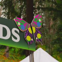 Brand Refresh For San Francisco's Historic Music Festival  cover image