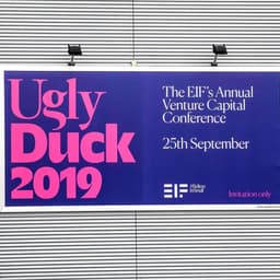 Branding Transformation For The Ugly Duck Conference cover image