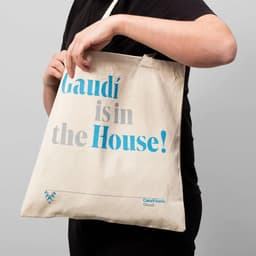 Brand Identity Transformation For Gaudí's Casa Vicens  cover image