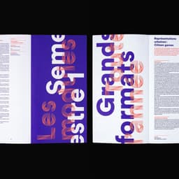 Logotype And Visual Identity For A Research University  cover image
