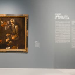 Exhibition Graphics For Musée Fabre Montpellier cover image