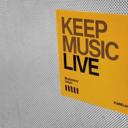Branding For A Musicians' Organization cover image