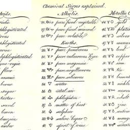 Visual Identity Creation For A Plant-based Food Company cover image