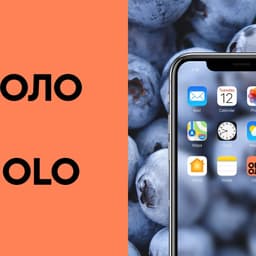 Branding For An Express Grocery Delivery Service  cover image