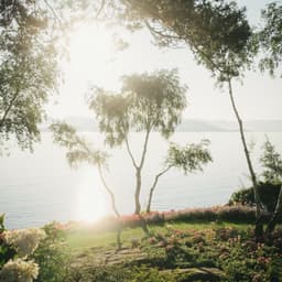 Branding And Web Design For A Unique Greenhouse Restaurant cover image
