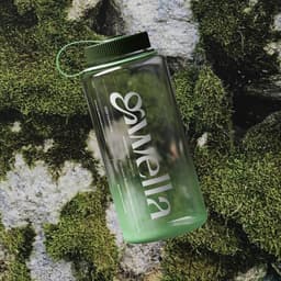 Visual System For A Wellness Supplement Company  cover image