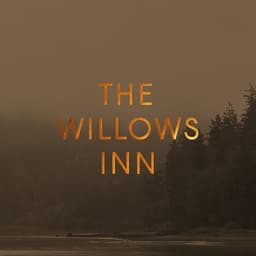 Visual Identity And Art Direction For A Live-fire Restaurant  cover image