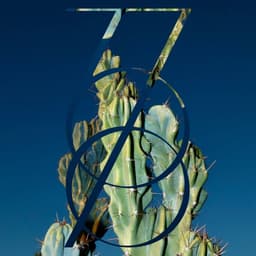 Brand Identity And E-commerce For A Skincare Brand  cover image