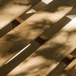 Visual Identity And Brand Strategy For A Sustainable Furniture Company  cover image