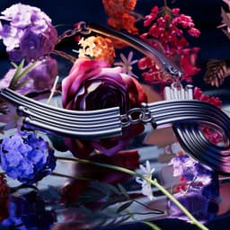 Creative Direction For The Beauty And Fashion Industry  cover image