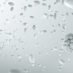 Video Production For A Sportswear Brand cover image