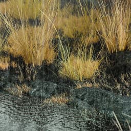 Visualization Of Climate Stressors For A Research And Design Lab  cover image