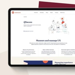 Brand Identity And Website Development For A Ux Insights Platform cover image
