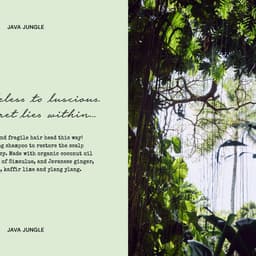 Brand Strategy For A Self-care Company  cover image