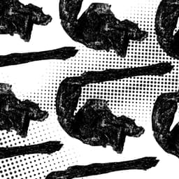 Brand Strategy For A Pet Food Brand  cover image