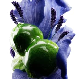 Digital Sculptures For A Beauty Brand cover image