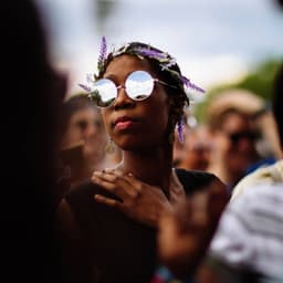 Identity System For A New York City Music Festival  cover image