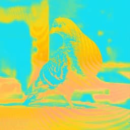 Festival Identity And Design System For A Major Music Festival cover image