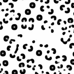 Packaging Design For An Experimental Music Band cover image