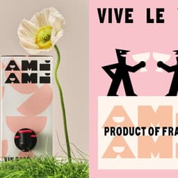 Brand Identity And Packaging For Ami Ami Wine cover image